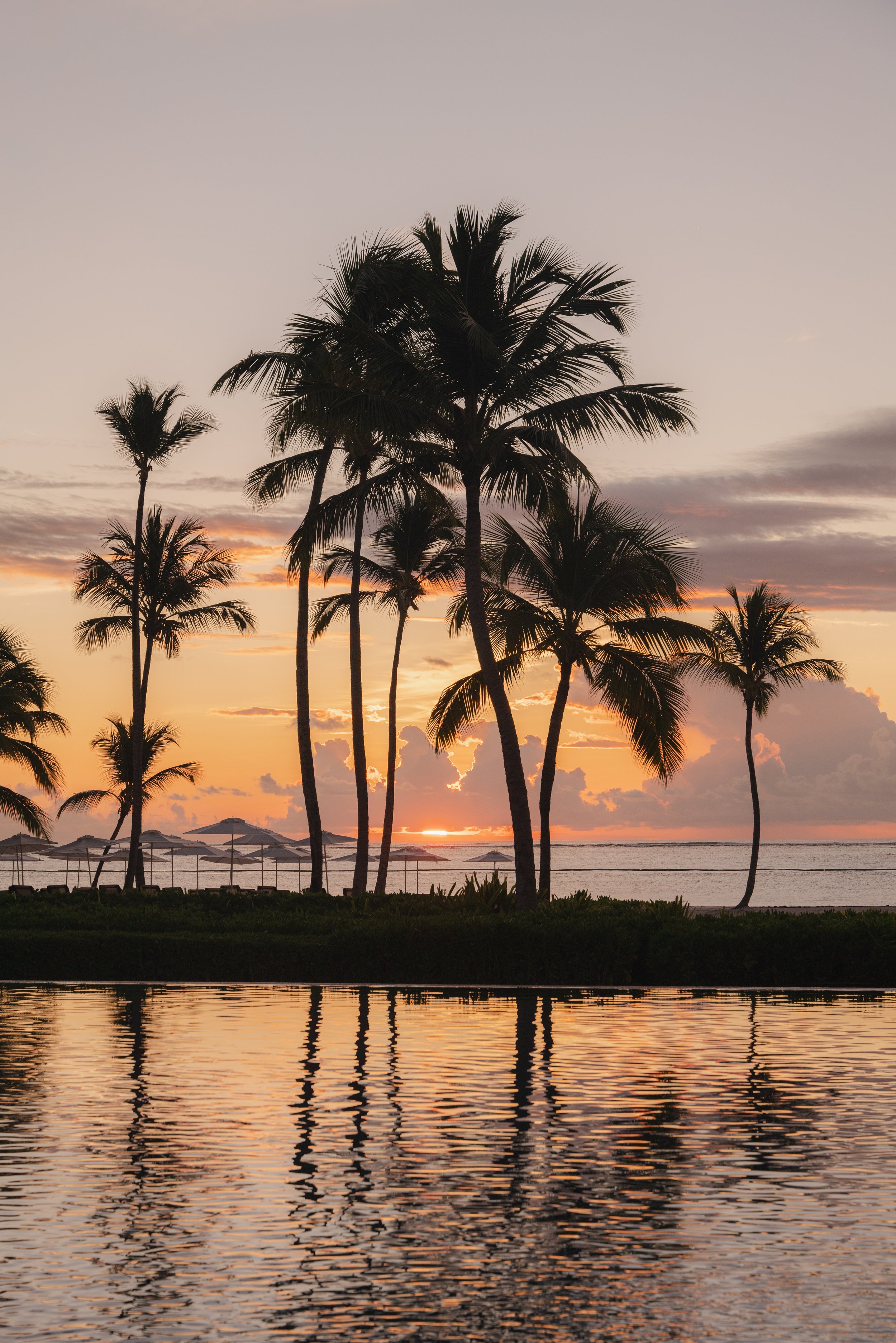 hyatt ziva cap cana lifestyle hotel commercial photographer london