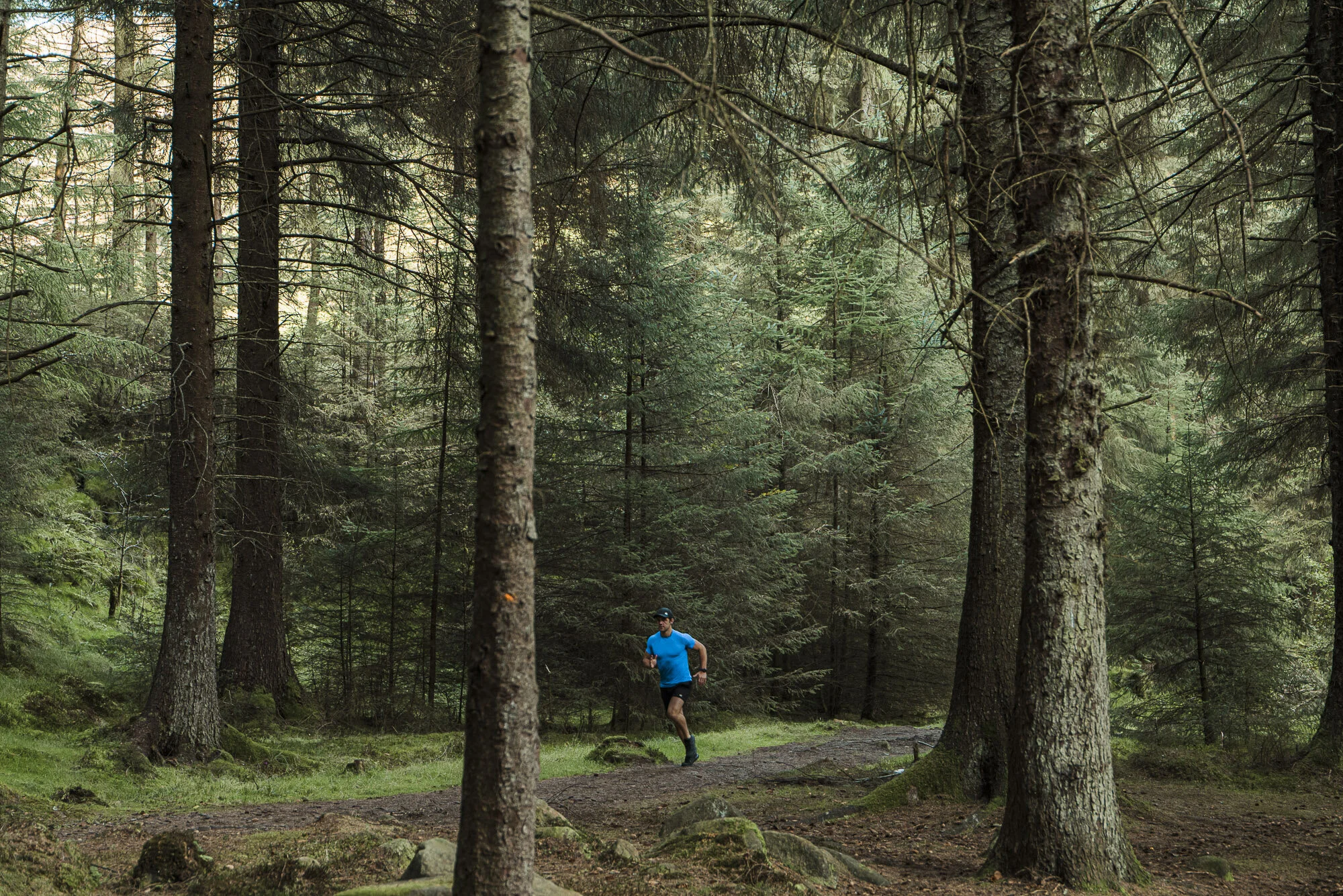 Colter and Roe activewear forest Peak District outdoor photography