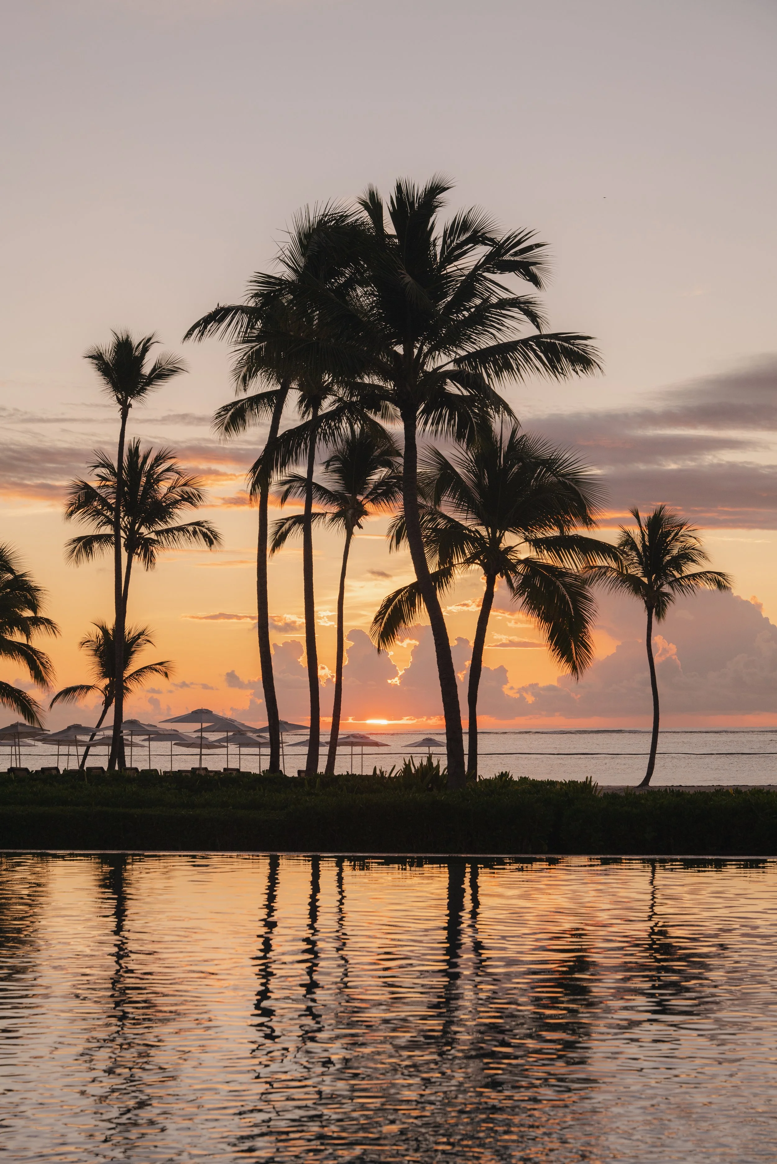 Hyatt Zilara Dominican Republic resort guest experience photography