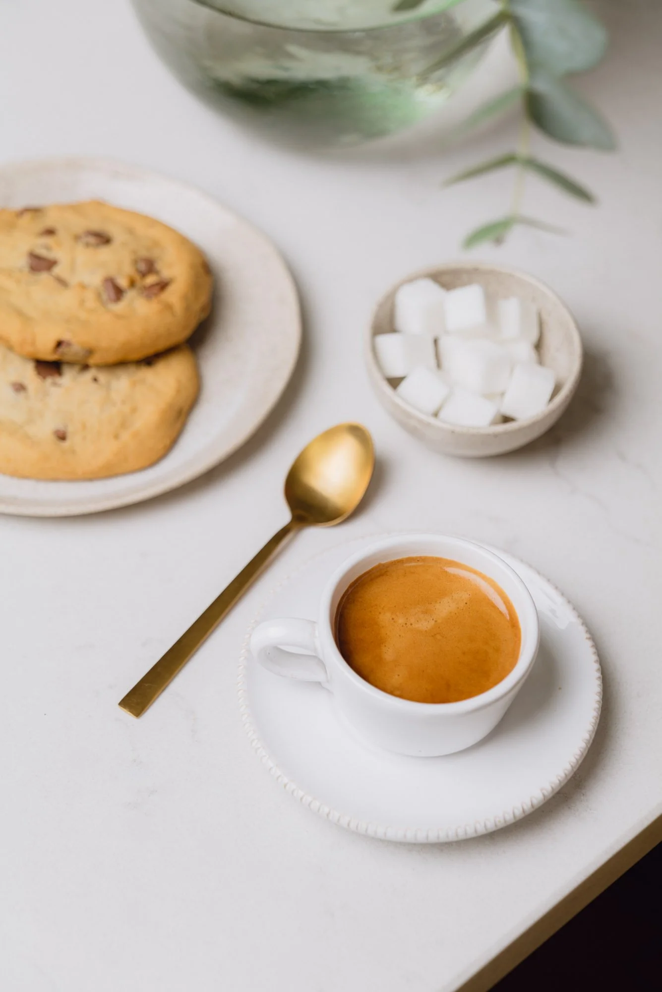 Pact Coffee spring lifestyle home photography