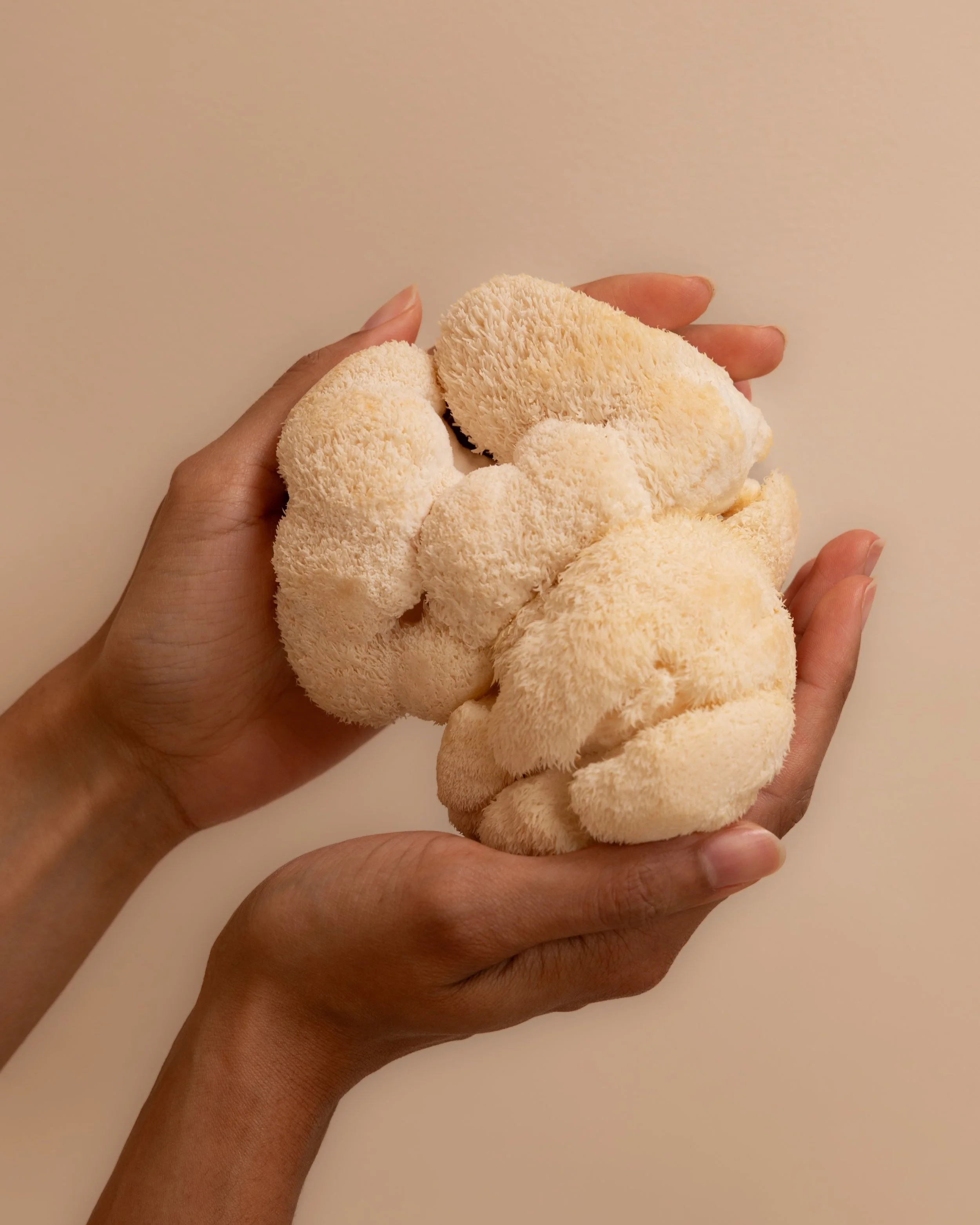 The Herbtender brand shoot — herbal supplement moment